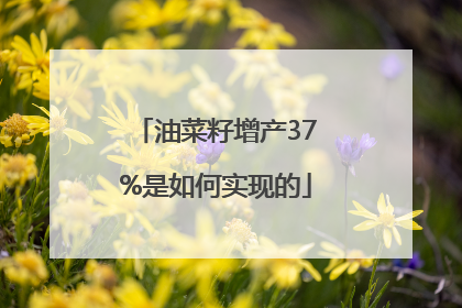 油菜籽增产37%是如何实现的