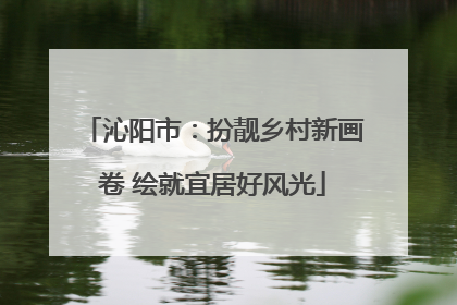 沁阳市：扮靓乡村新画卷 绘就宜居好风光