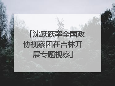沈跃跃率全国政协视察团在吉林开展专题视察
