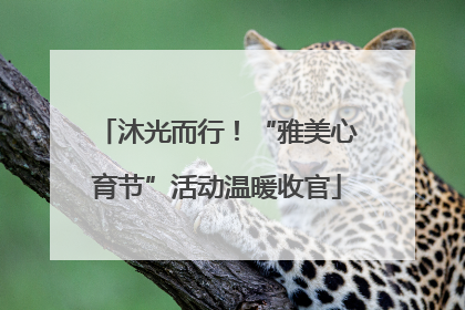 沐光而行！“雅美心育节”活动温暖收官