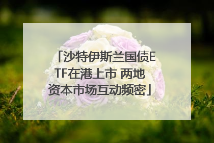 沙特伊斯兰国债ETF在港上市 两地资本市场互动频密
