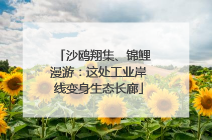 沙鸥翔集、锦鲤漫游：这处工业岸线变身生态长廊