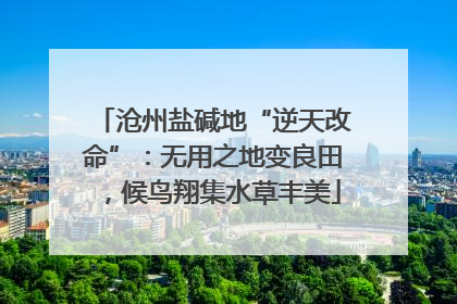 沧州盐碱地“逆天改命”：无用之地变良田，候鸟翔集水草丰美
