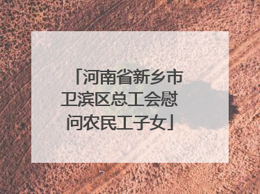 河南省新乡市卫滨区总工会慰问农民工子女