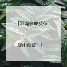 河南多地发布暴雨预警！