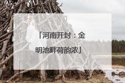 河南开封：金明池畔荷韵浓