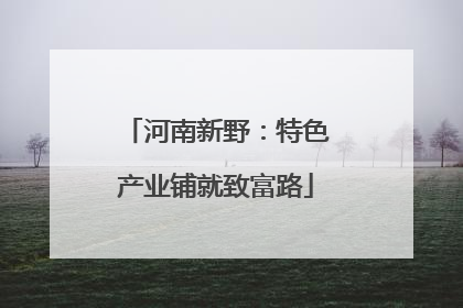 河南新野：特色产业铺就致富路