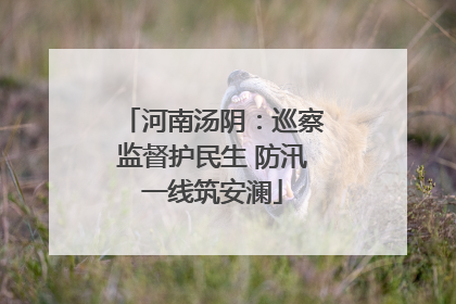 河南汤阴：巡察监督护民生 防汛一线筑安澜