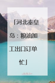 河北秦皇岛：粮油加工出口订单忙
