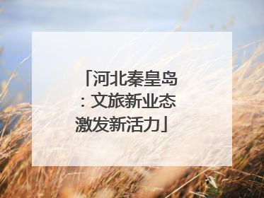 河北秦皇岛：文旅新业态激发新活力