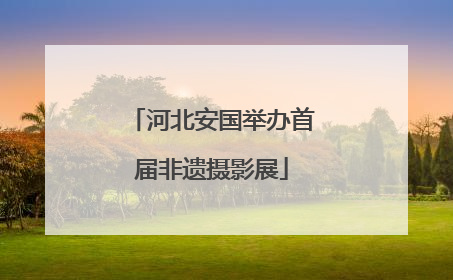 河北安国举办首届非遗摄影展