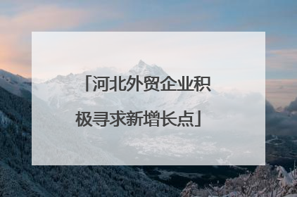 河北外贸企业积极寻求新增长点