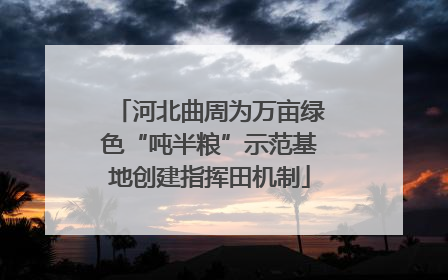河北曲周为万亩绿色“吨半粮”示范基地创建指挥田机制