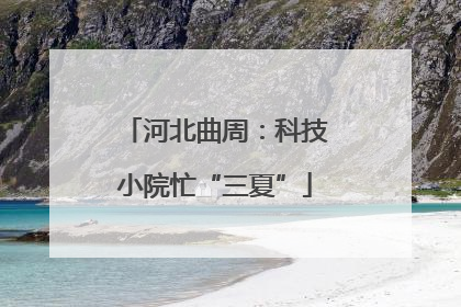 河北曲周：科技小院忙“三夏”