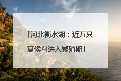 河北衡水湖：近万只夏候鸟进入繁殖期