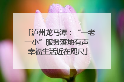 泸州龙马潭：“一老一小”服务落地有声 幸福生活近在咫尺
