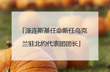 泽连斯基任命新任乌克兰驻北约代表团团长
