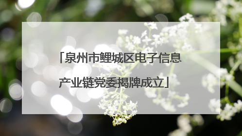 泉州市鲤城区电子信息产业链党委揭牌成立