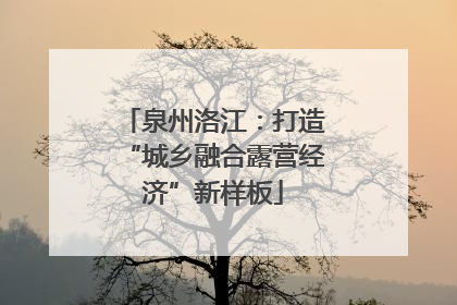 泉州洛江：打造“城乡融合露营经济”新样板