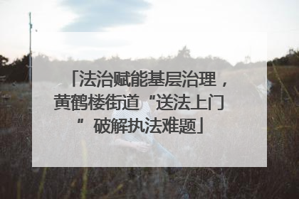 法治赋能基层治理，黄鹤楼街道“送法上门”破解执法难题