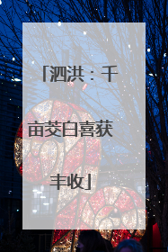 泗洪：千亩茭白喜获丰收