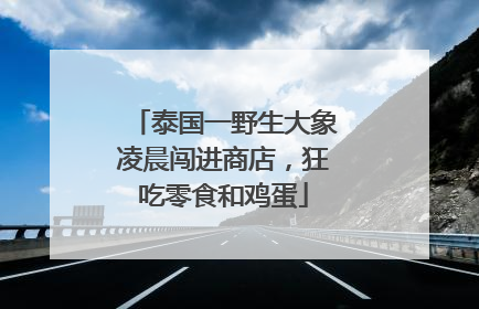 泰国一野生大象凌晨闯进商店，狂吃零食和鸡蛋