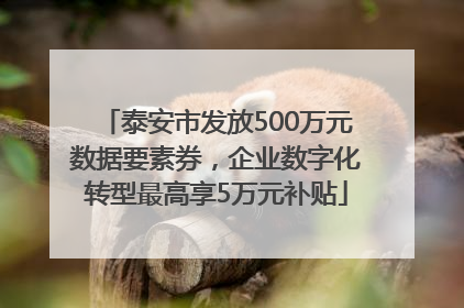 泰安市发放500万元数据要素券，企业数字化转型最高享5万元补贴