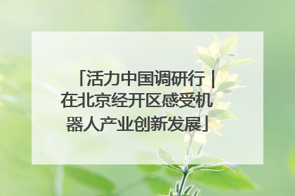 活力中国调研行｜在北京经开区感受机器人产业创新发展