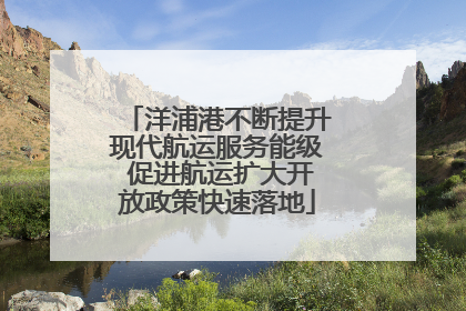 洋浦港不断提升现代航运服务能级 促进航运扩大开放政策快速落地