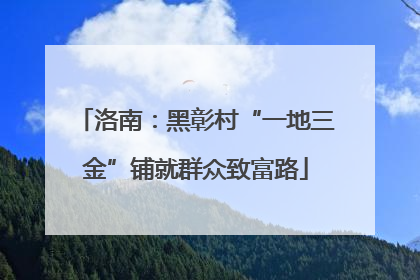 洛南：黑彰村“一地三金”铺就群众致富路