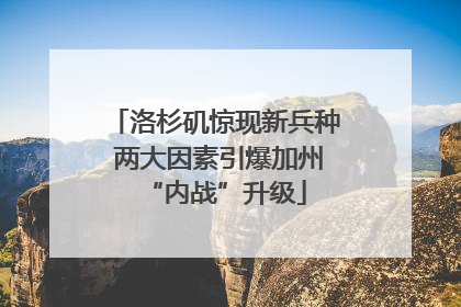 洛杉矶惊现新兵种 两大因素引爆加州“内战”升级