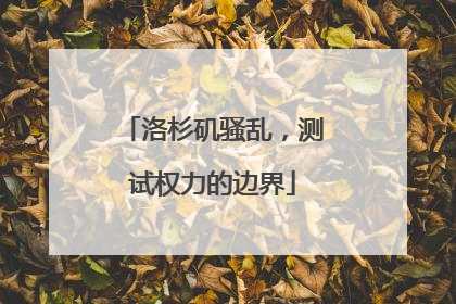 洛杉矶骚乱，测试权力的边界
