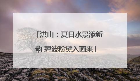 洪山：夏日水景添新韵 碧波粉黛入画来