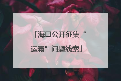 海口公开征集“运霸”问题线索