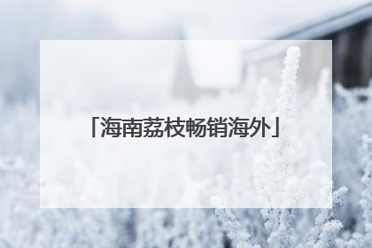 海南荔枝畅销海外