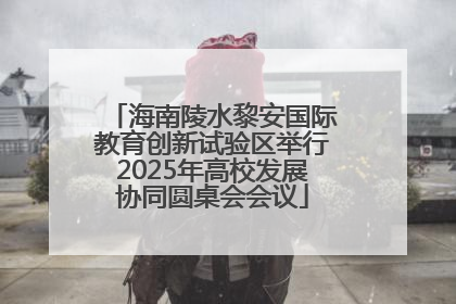 海南陵水黎安国际教育创新试验区举行2025年高校发展协同圆桌会会议