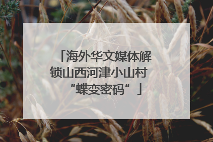 海外华文媒体解锁山西河津小山村“蝶变密码”