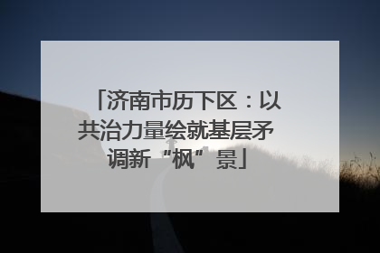 济南市历下区：以共治力量绘就基层矛调新“枫”景