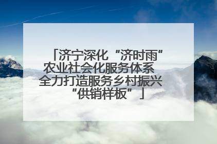 济宁深化“济时雨”农业社会化服务体系 全力打造服务乡村振兴“供销样板”