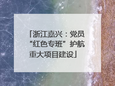 浙江嘉兴：党员“红色专班”护航重大项目建设