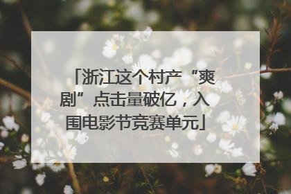 浙江这个村产“爽剧”点击量破亿，入围电影节竞赛单元