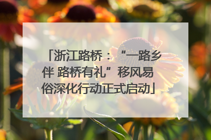 浙江路桥：“一路乡伴 路桥有礼”移风易俗深化行动正式启动