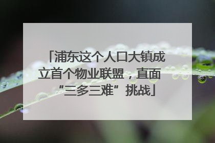 浦东这个人口大镇成立首个物业联盟，直面“三多三难”挑战