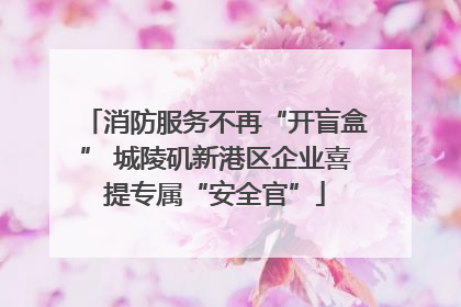 消防服务不再“开盲盒” 城陵矶新港区企业喜提专属“安全官”