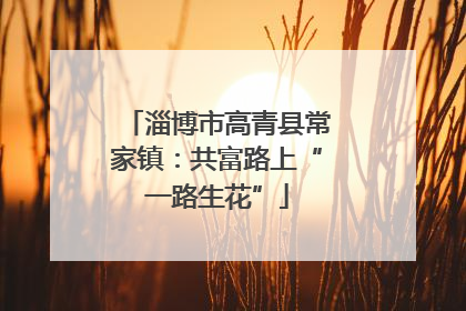 淄博市高青县常家镇：共富路上“一路生花”