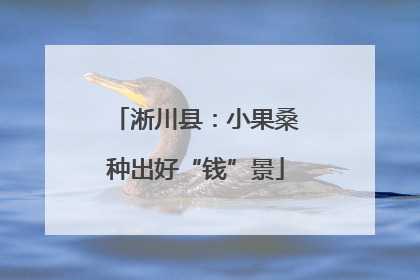 淅川县：小果桑种出好“钱”景