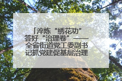淬炼“绣花功” 答好“治理卷”——全省街道党工委副书记抓党建促基层治理培训示范班侧记
