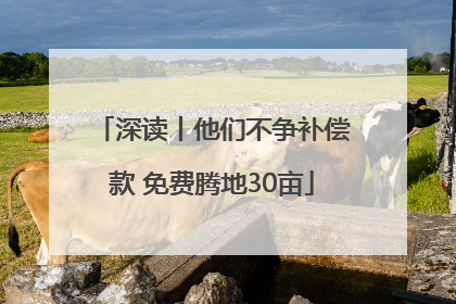 深读丨他们不争补偿款 免费腾地30亩
