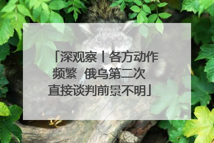深观察丨各方动作频繁  俄乌第二次直接谈判前景不明