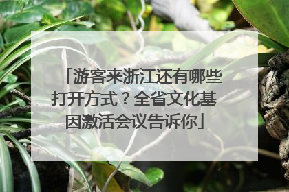 游客来浙江还有哪些打开方式？全省文化基因激活会议告诉你